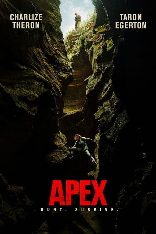 Apex cover