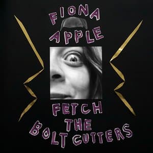 Fetch the Bolt Cutters artwork