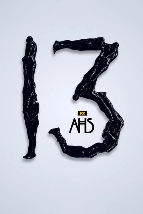 13 poster