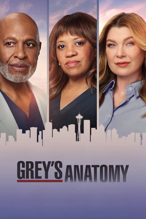 Grey's Anatomy: Season 23 artwork